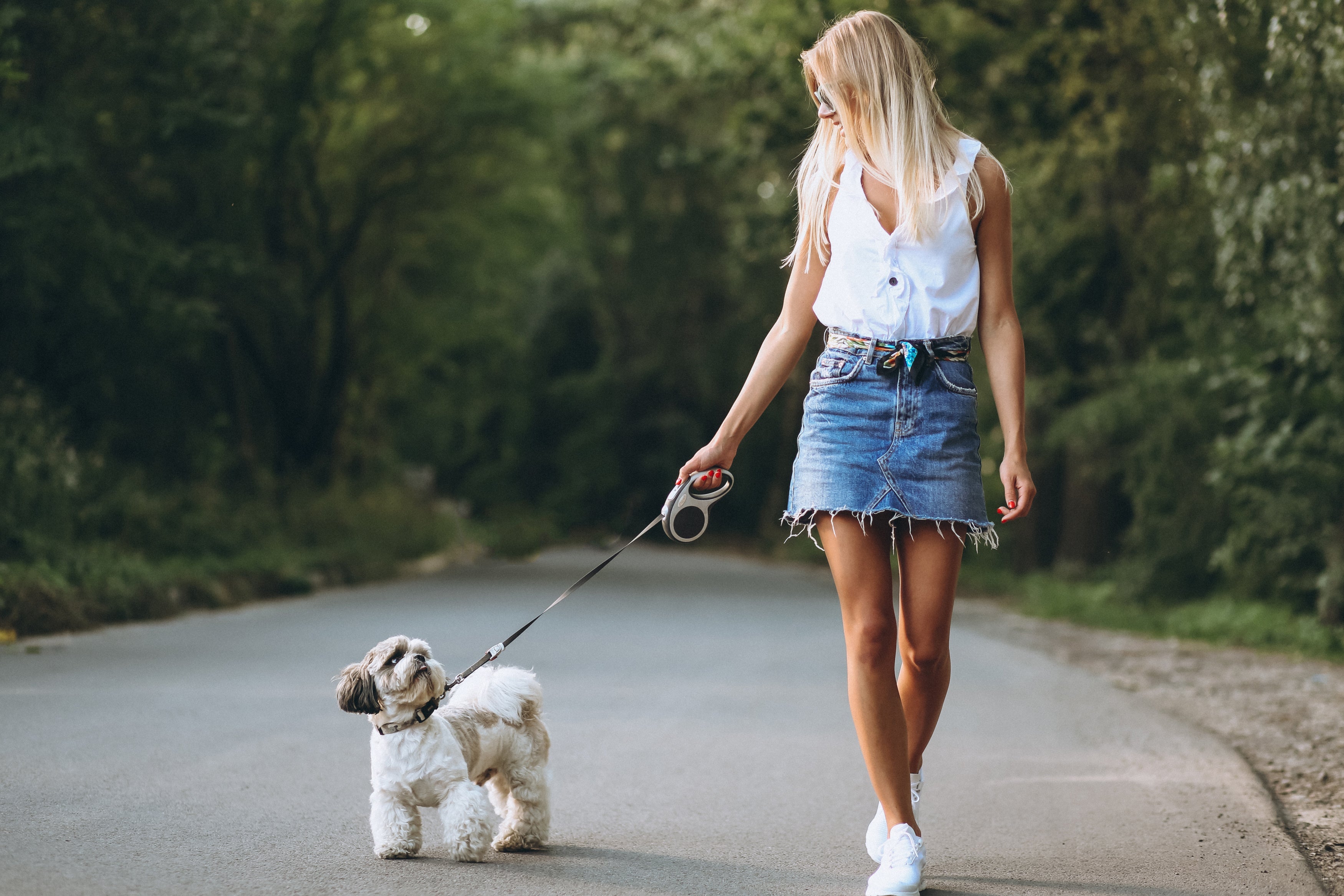 101 leibanden: welke leiband past het best bij jou en je hond?
