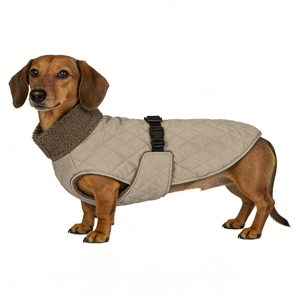 Warme Gewatteerde Hondenjas - Teddy - DreamPawz