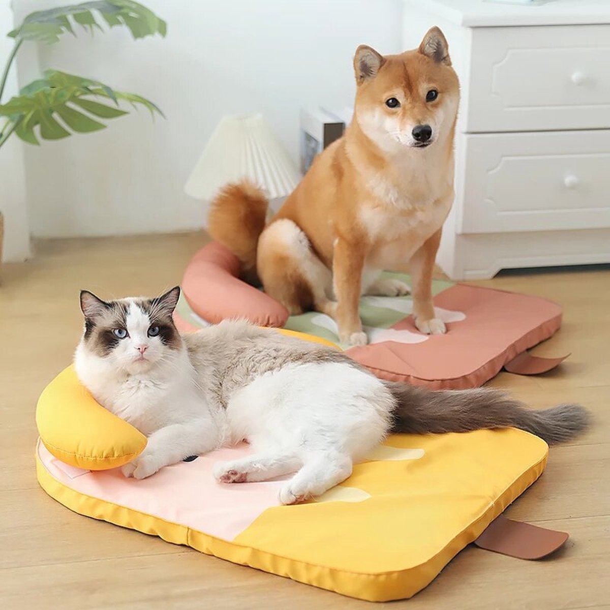 Kimpets - Koelbed in Ijsjesvorm