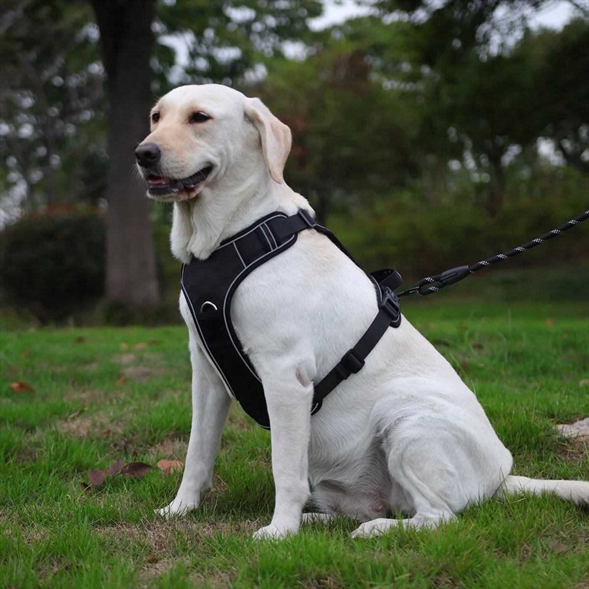Duomm airtag hondentuigje zwart op hond