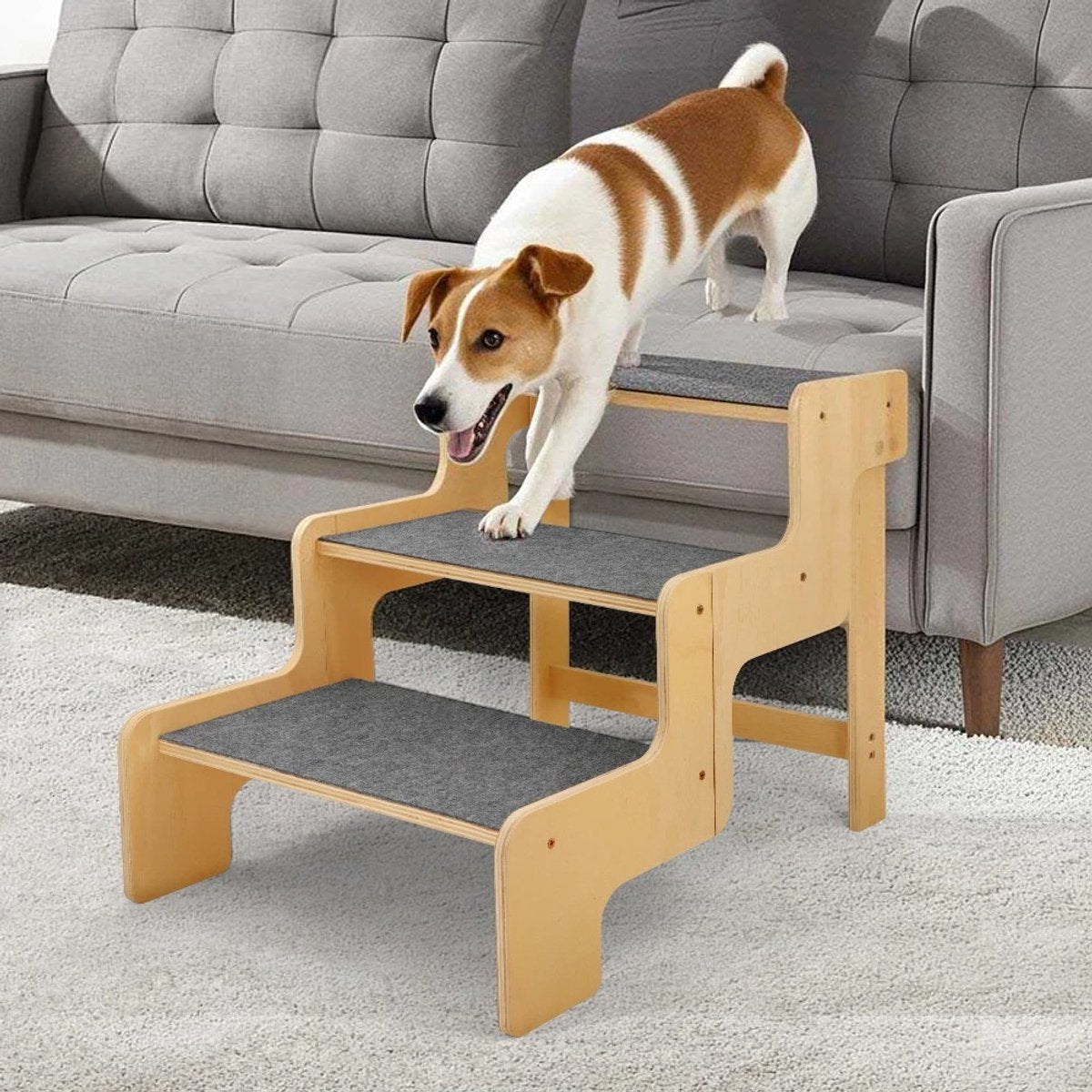Houten Hondentrap