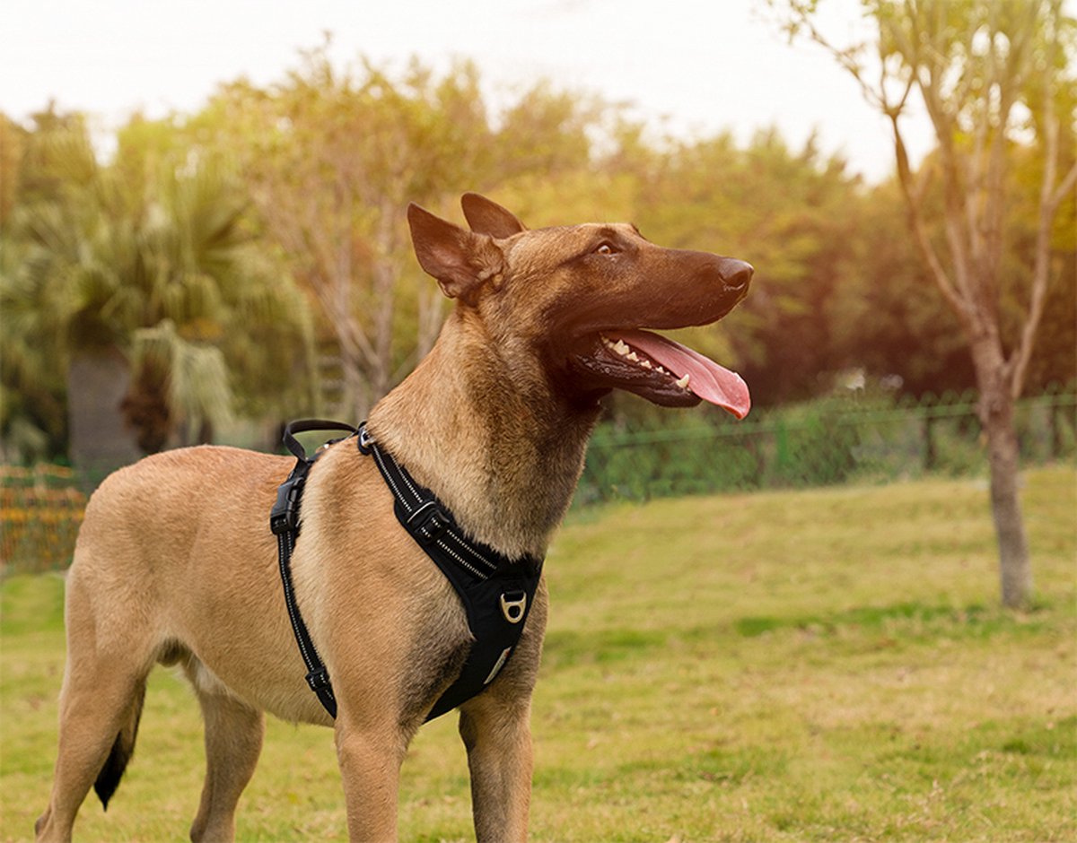zwart hondentuigje k9 hond