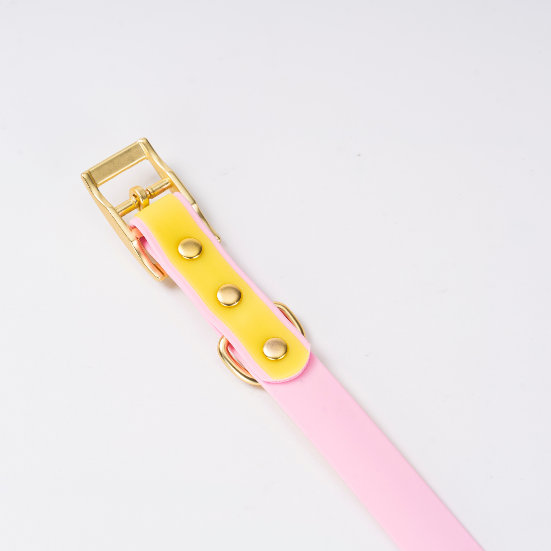 Luxe Waterdichte Hondenhalsband & Leiband Set – Glow in the Dark