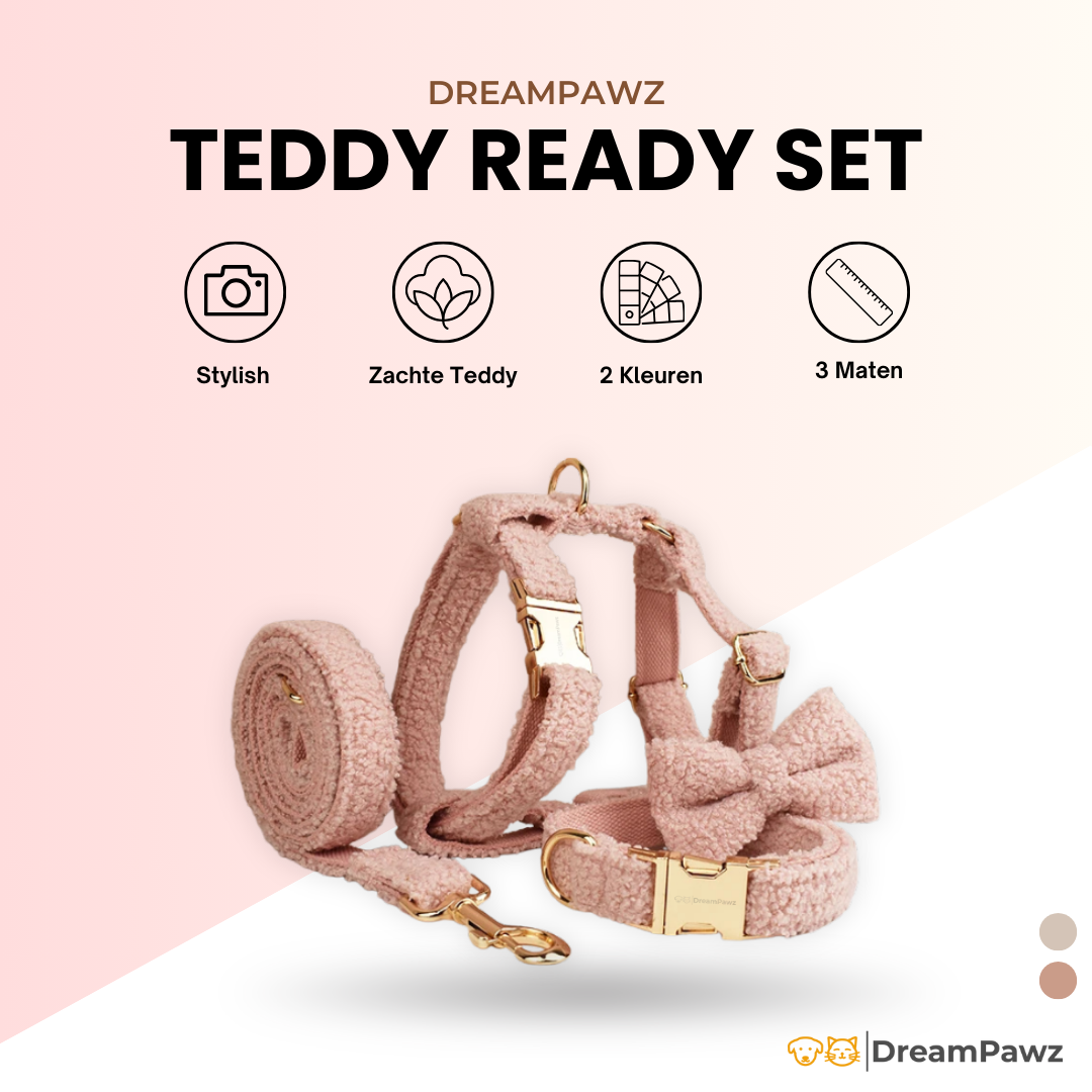 Teddy Ready - 4-Delige Set met Tuigje, Halsband, Riem en Strik - Roze