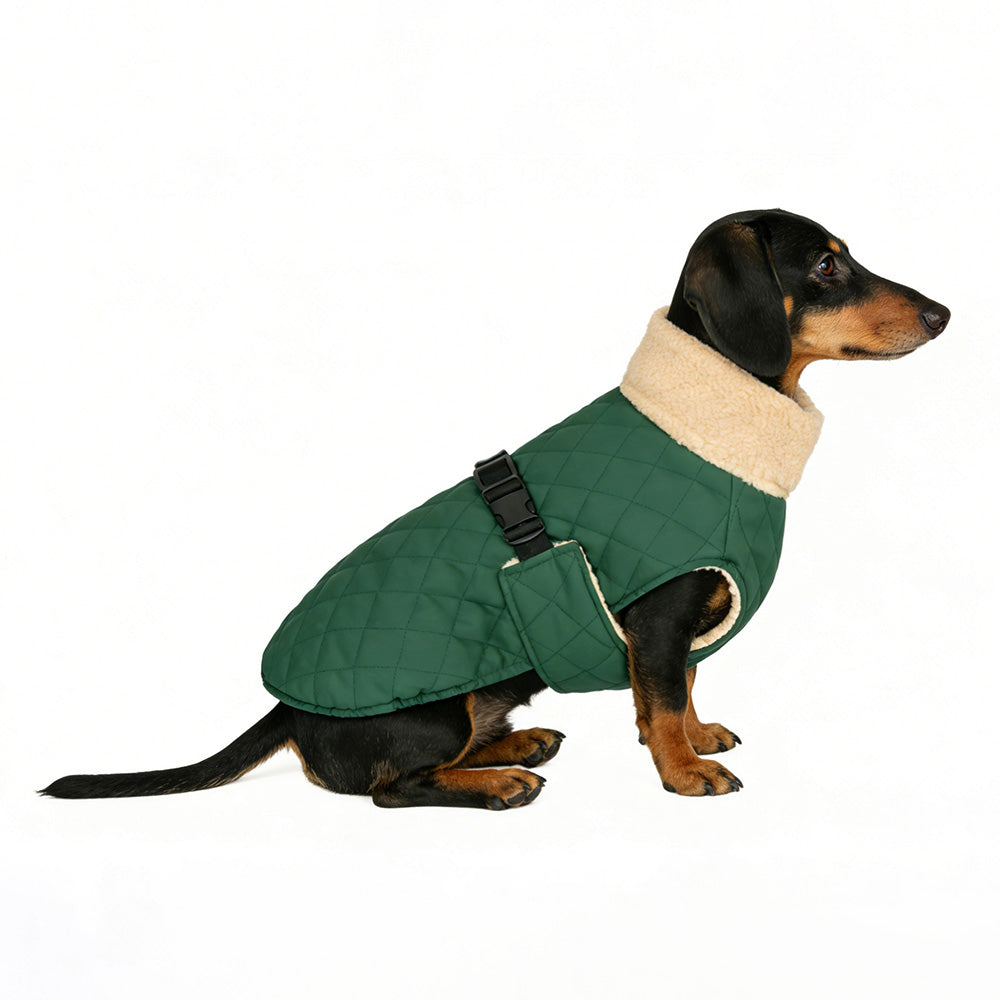 Warme Gewatteerde Hondenjas - Teddy - DreamPawz