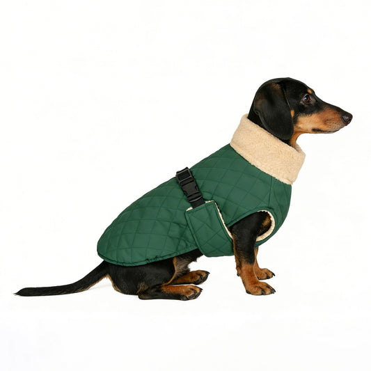 Warme Gewatteerde Hondenjas - Teddy - DreamPawz