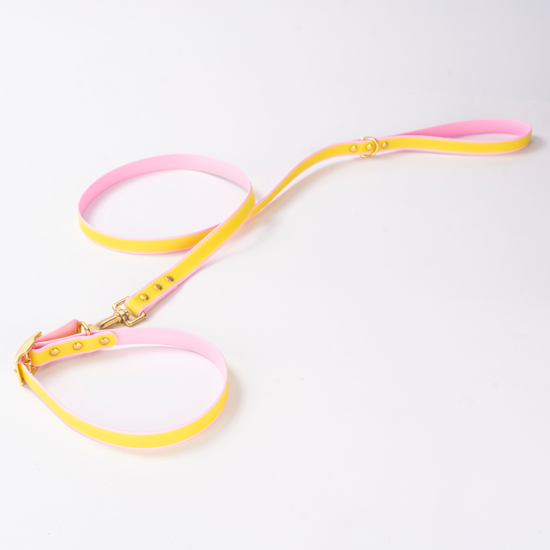 Luxe Waterdichte Hondenhalsband & Leiband Set – Glow in the Dark