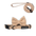 DreamPawz - 3-Delige Set van Halsband met Strik & Leiband - Visgraat - DreamPawz