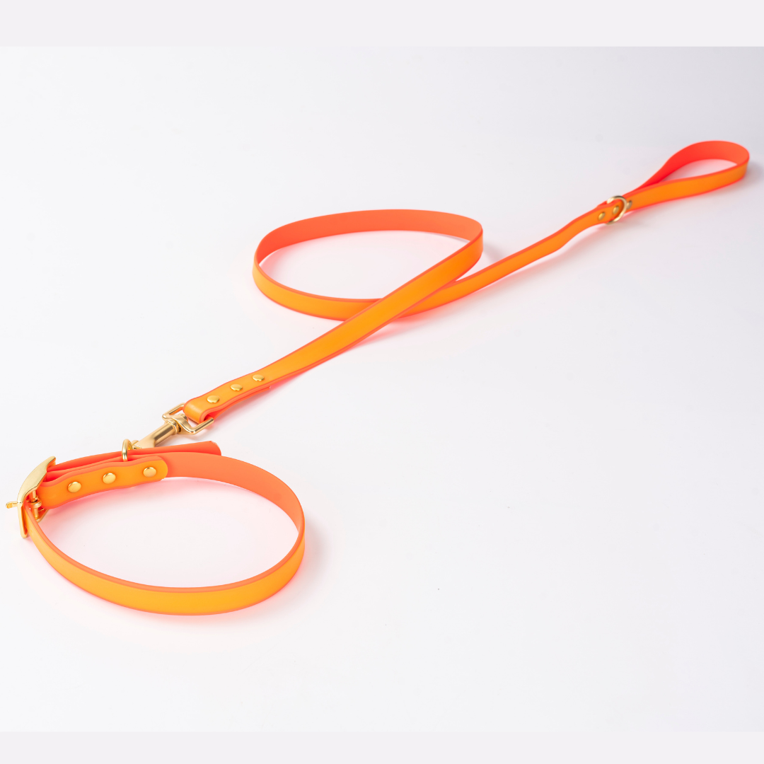 Luxe Waterdichte Hondenhalsband & Leiband Set – Glow in the Dark