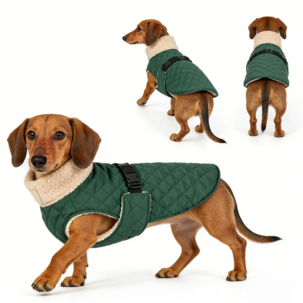 Warme Gewatteerde Hondenjas - Teddy - DreamPawz