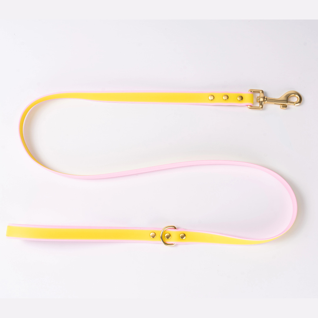 Luxe Waterdichte Hondenhalsband & Leiband Set – Glow in the Dark