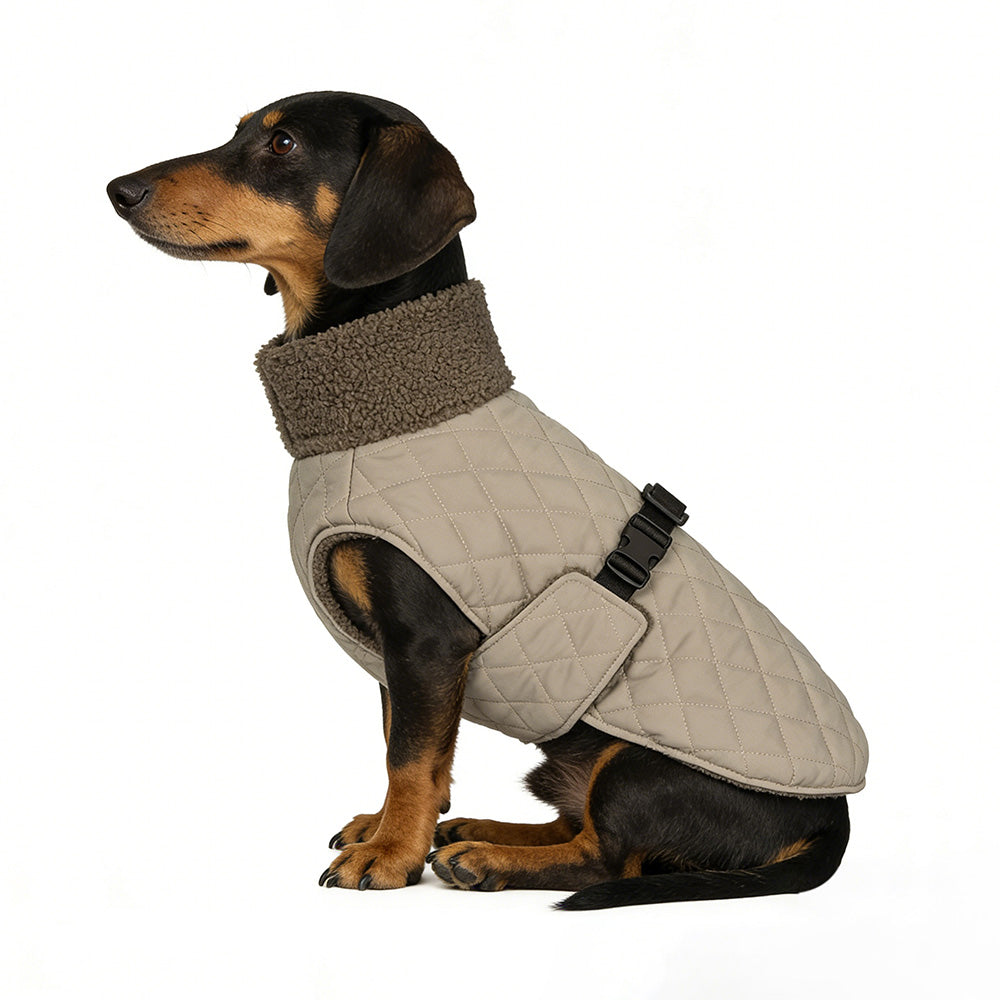 Warme Gewatteerde Hondenjas - Teddy - DreamPawz