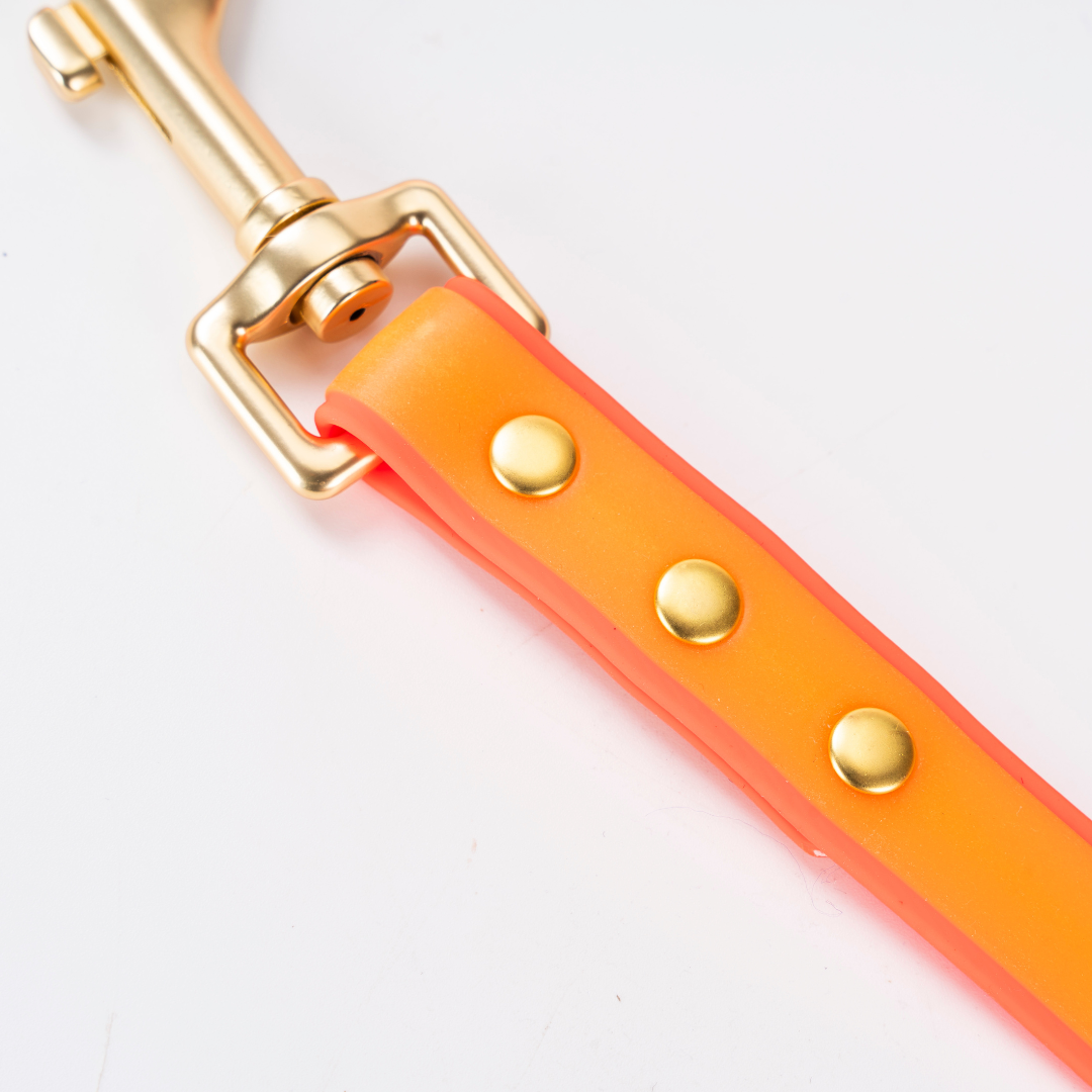 Luxe Waterdichte Hondenhalsband & Leiband Set – Glow in the Dark