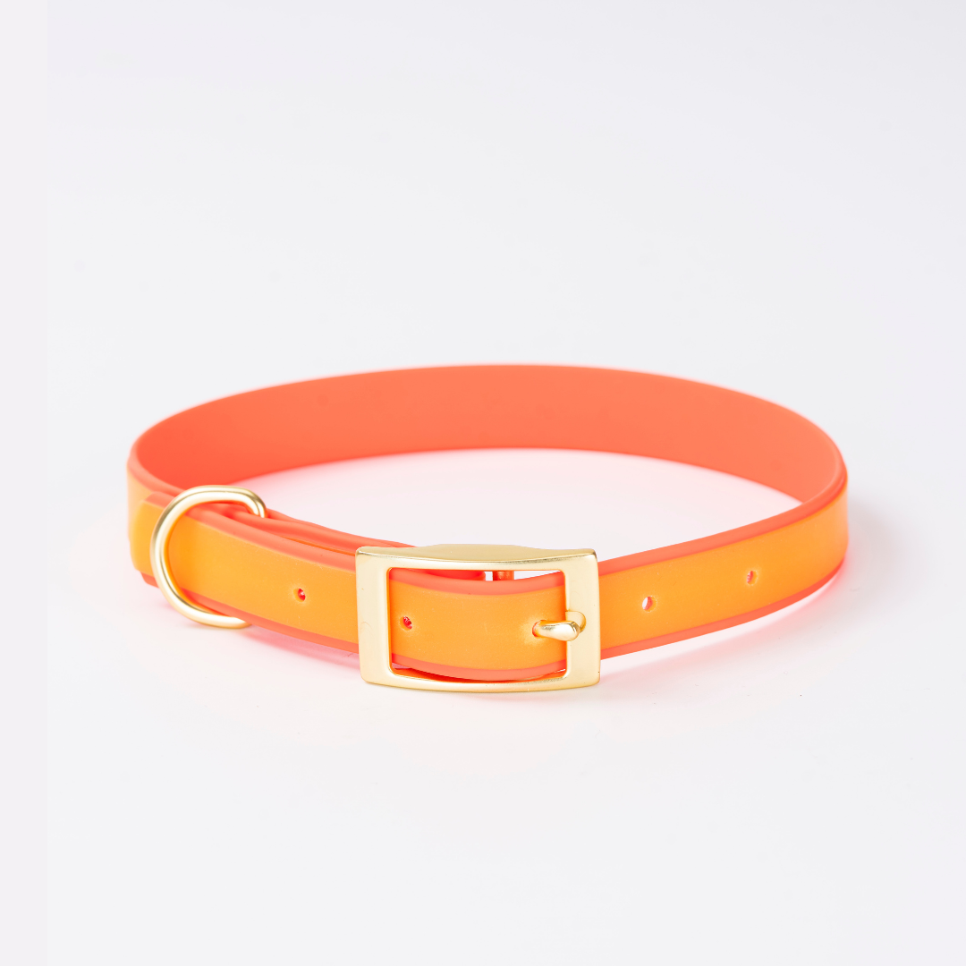 Luxe Waterdichte Hondenhalsband & Leiband Set – Glow in the Dark