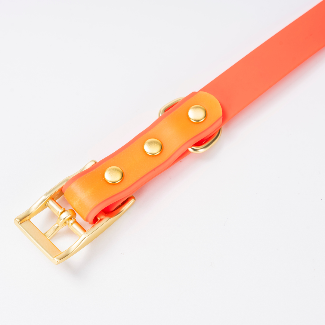 Luxe Waterdichte Hondenhalsband & Leiband Set – Glow in the Dark