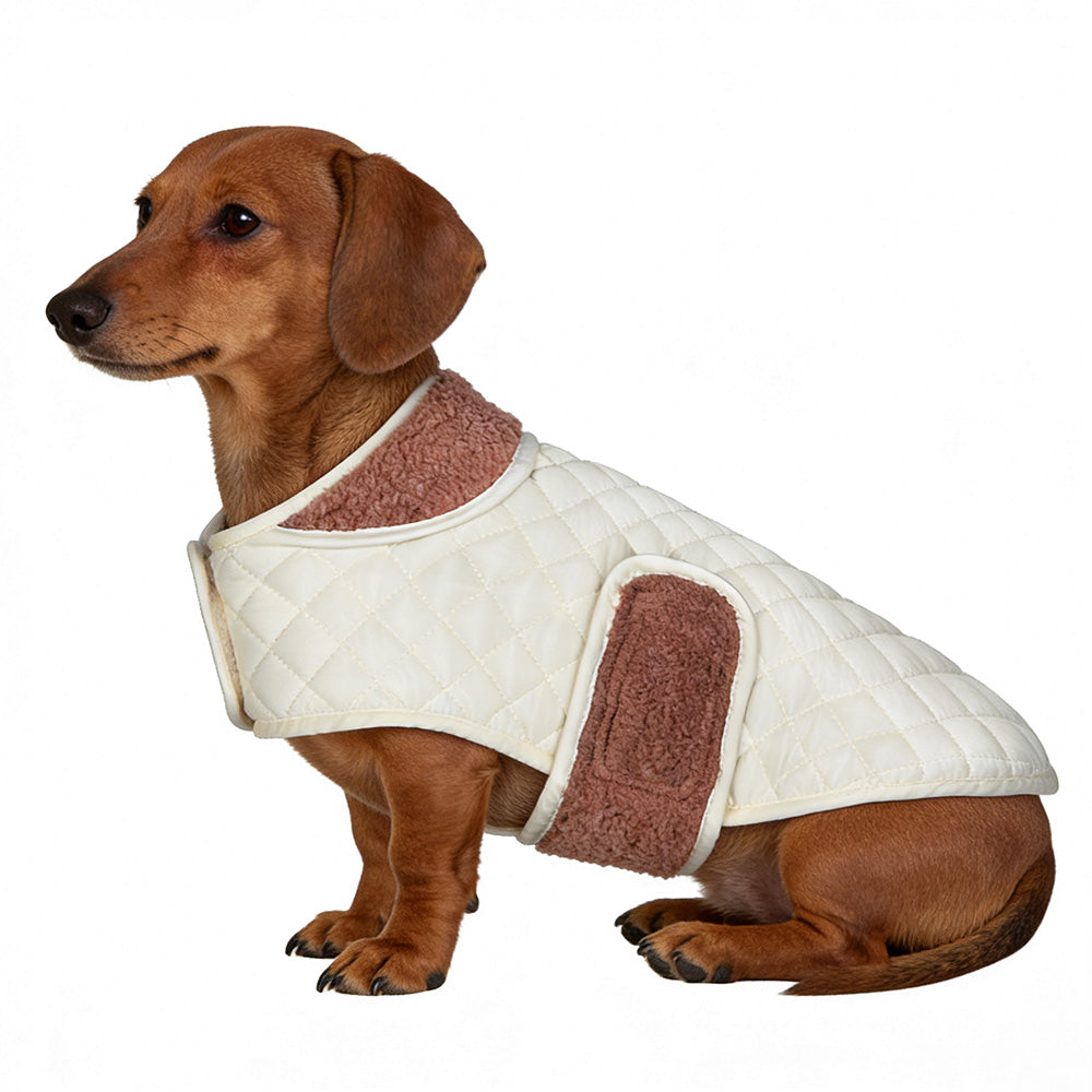 Luxe Gewatteerde Hondenjas - Quilted Chic - DreamPawz