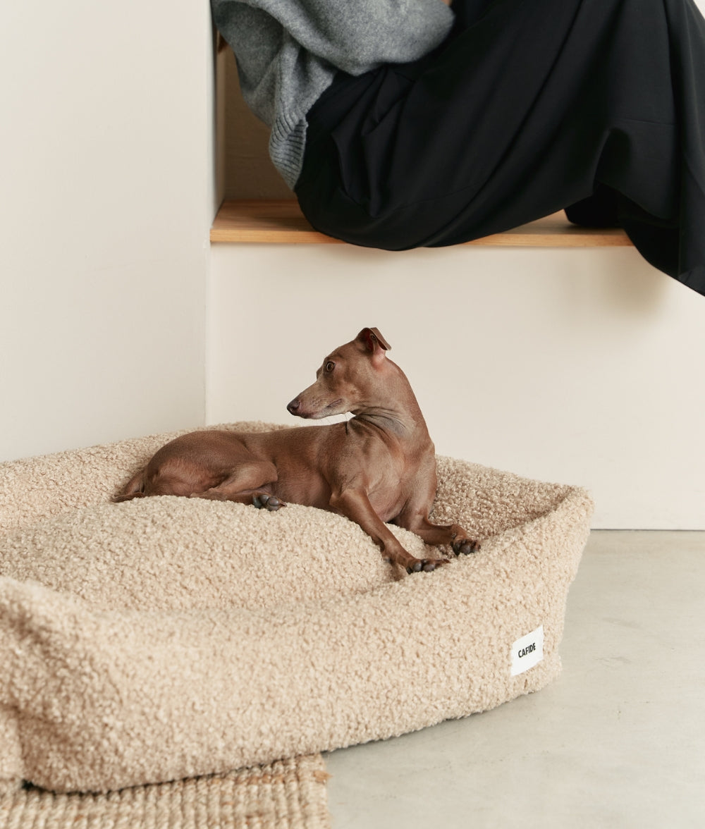 Cafide - Snozy Hondenmand - Teddy - DreamPawz