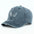 Blauwe pet met teckel