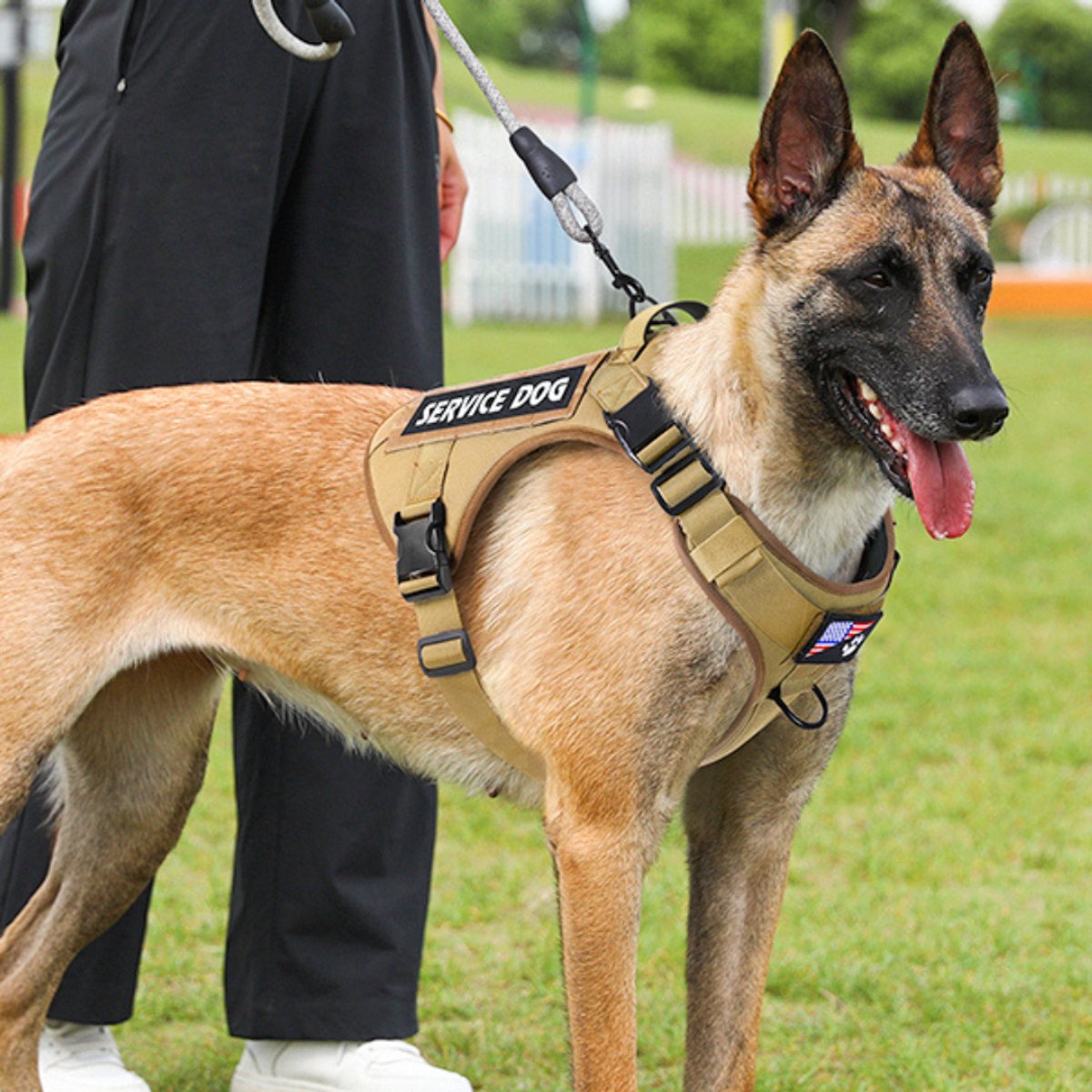 Bruin hondentuigje met 6 patches op modelhond
