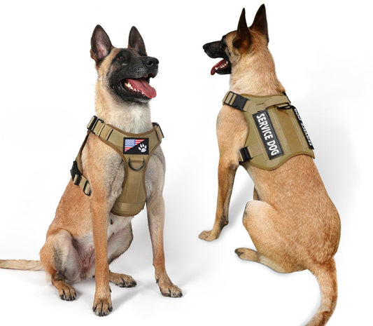Bruin hondentuigje met 6 patches op modelhond voorkant en achterkant