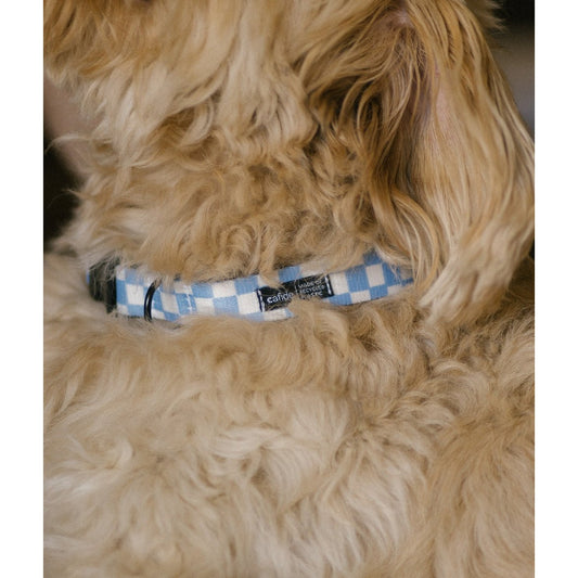 Blauwe Cafide Halsband sfeerbeeld