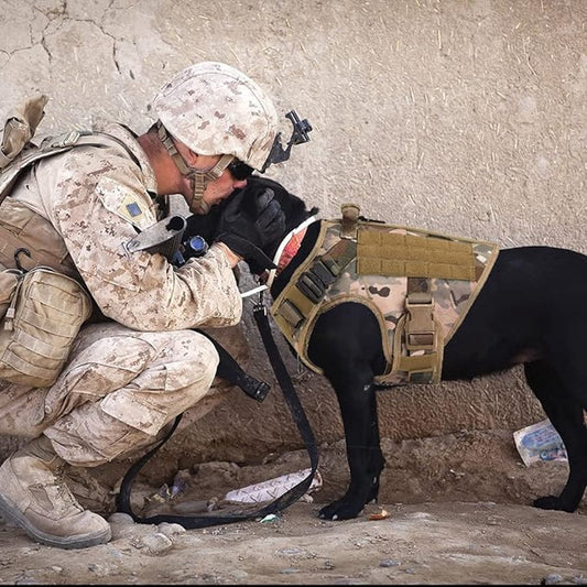Tactical Hondentuigje K9 - Incl. Mama / Dad says I'm Special Patch(es) - DreamPawz