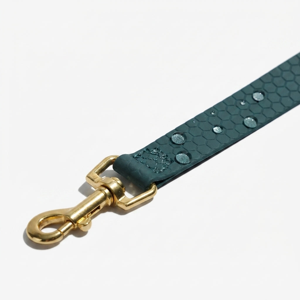 Premium Kunstleer Hondenriem 3M / 6M