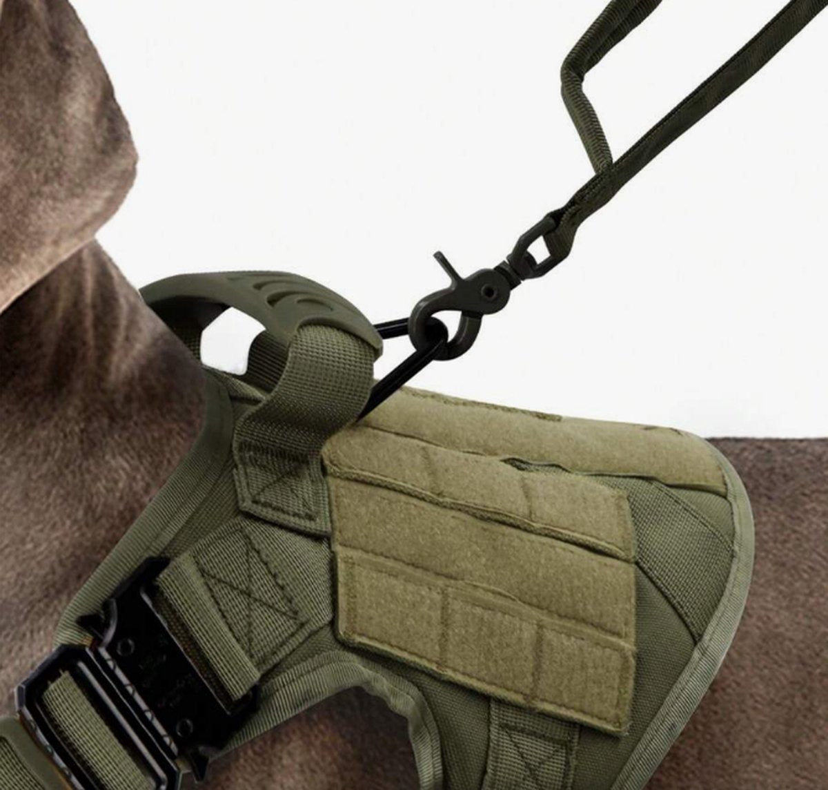 Tactical Hondentuigje K9 - Incl. Mama / Dad says I'm Special Patch(es) - DreamPawz