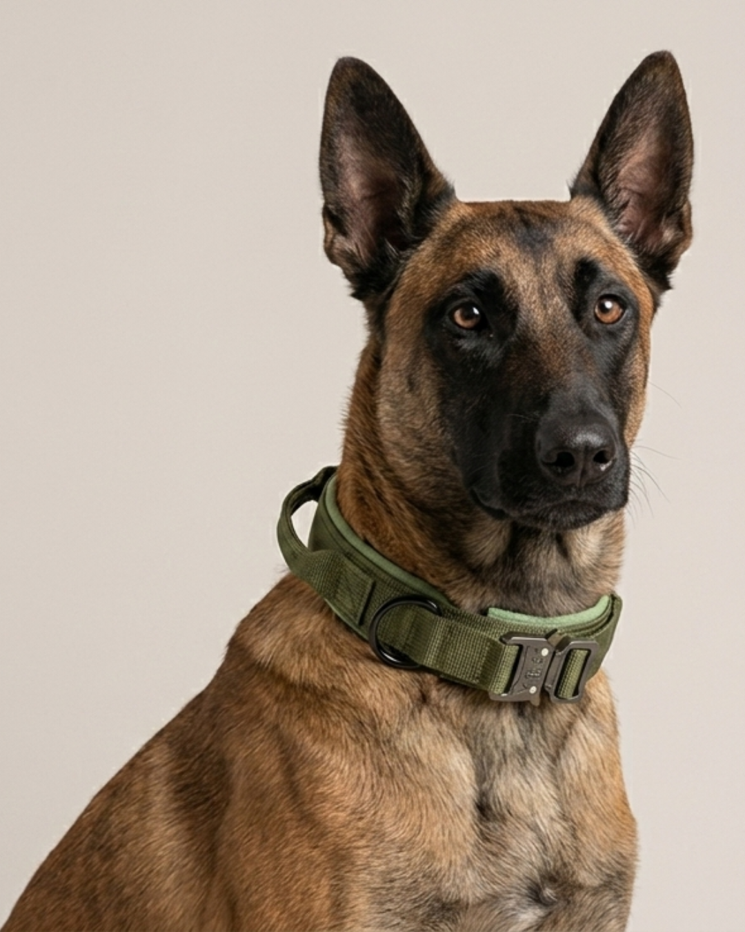 Tactical K9 Hondenhalsband