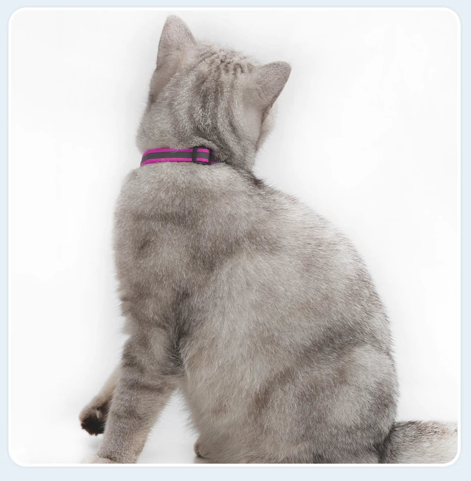 Reflecterende Kattenhalsband met Bel - DreamPawz