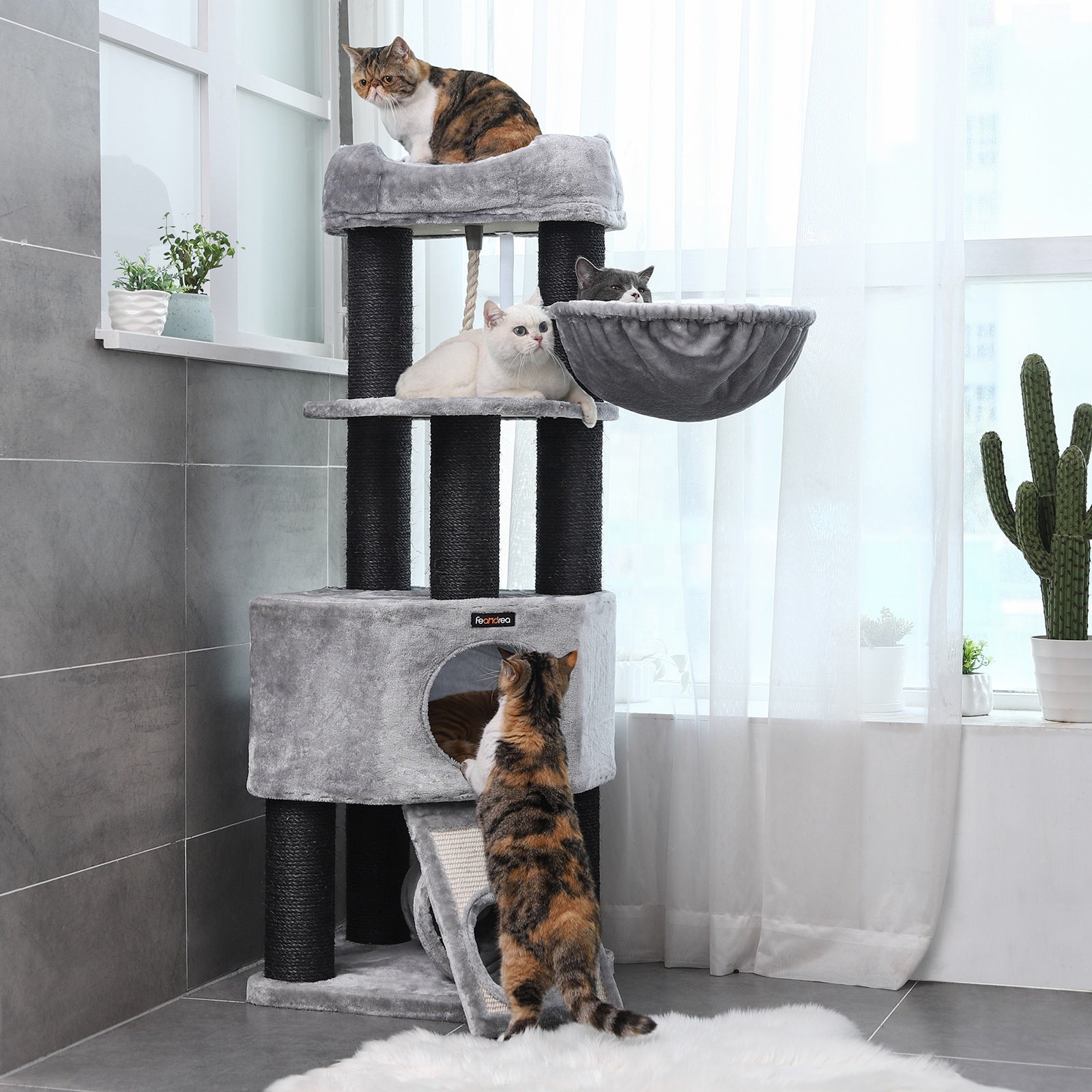 Feandrea - Grote Krabpaal met Hangmat & Kattenhuis - DreamPawz