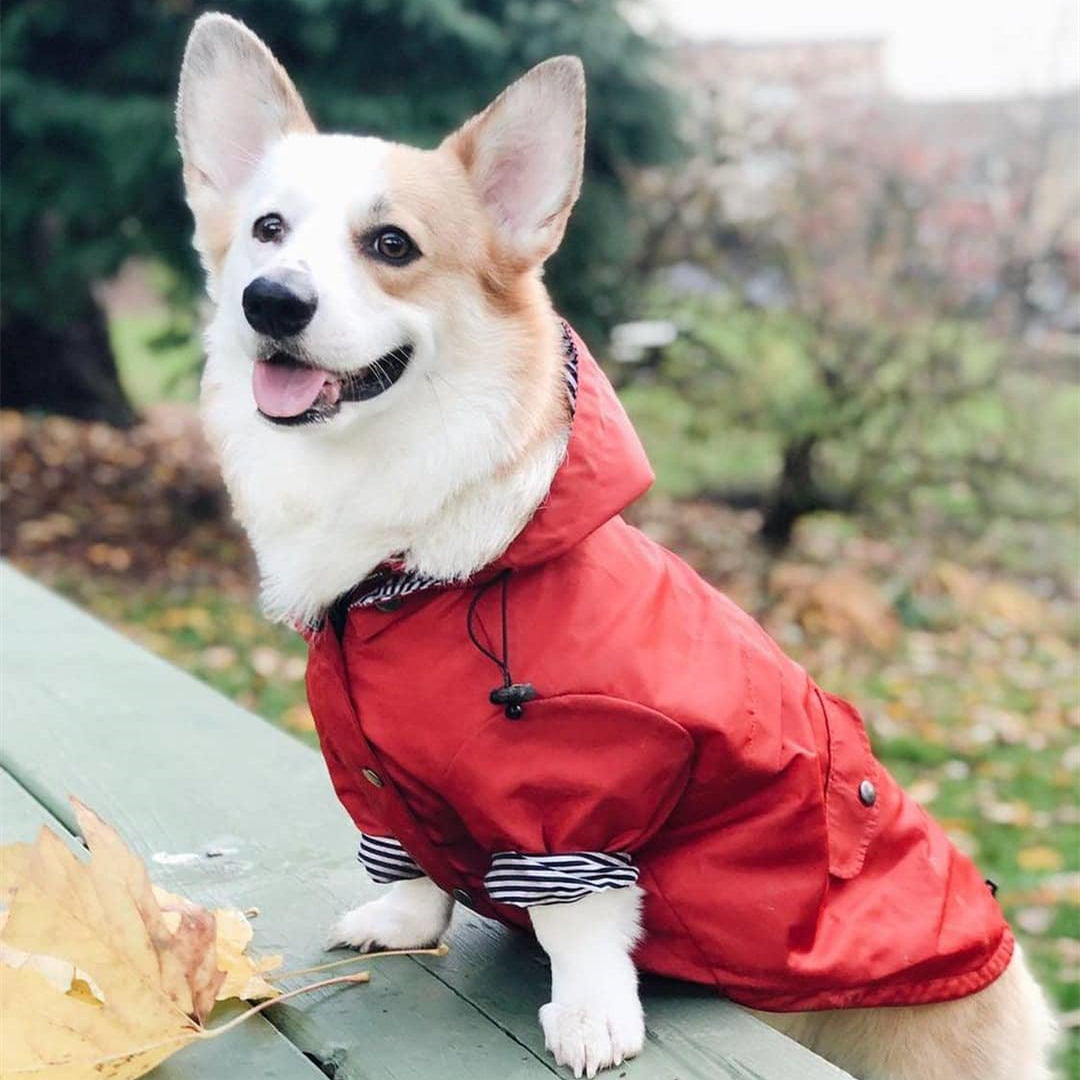 Waterdichte Regenjas met Kap voor Honden