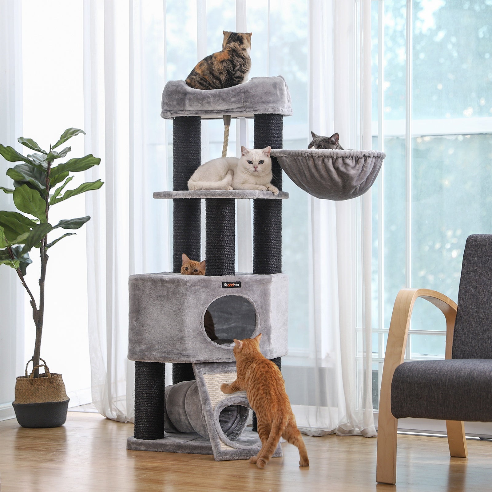 Feandrea - Grote Krabpaal met Hangmat & Kattenhuis - DreamPawz