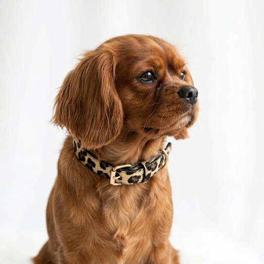 Hondenhalsband met panter print op kleine hond
