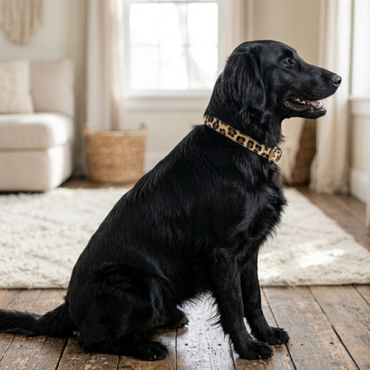 Hondenhalsband met panter print op zwarte grote hond zijaanzicht