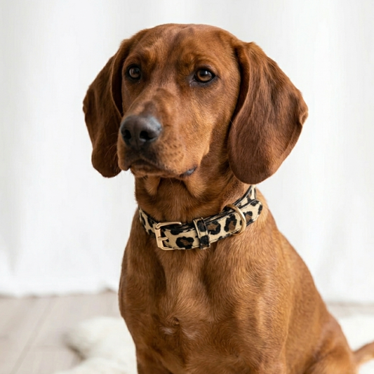 Hondenhalsband met panter print op grote hond