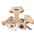 DreamPawz - 6-delige Harnas Set - Visgraat