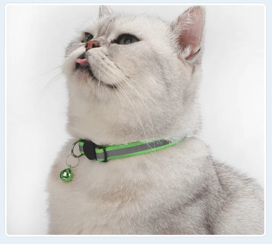 Reflecterende Kattenhalsband met Bel - DreamPawz