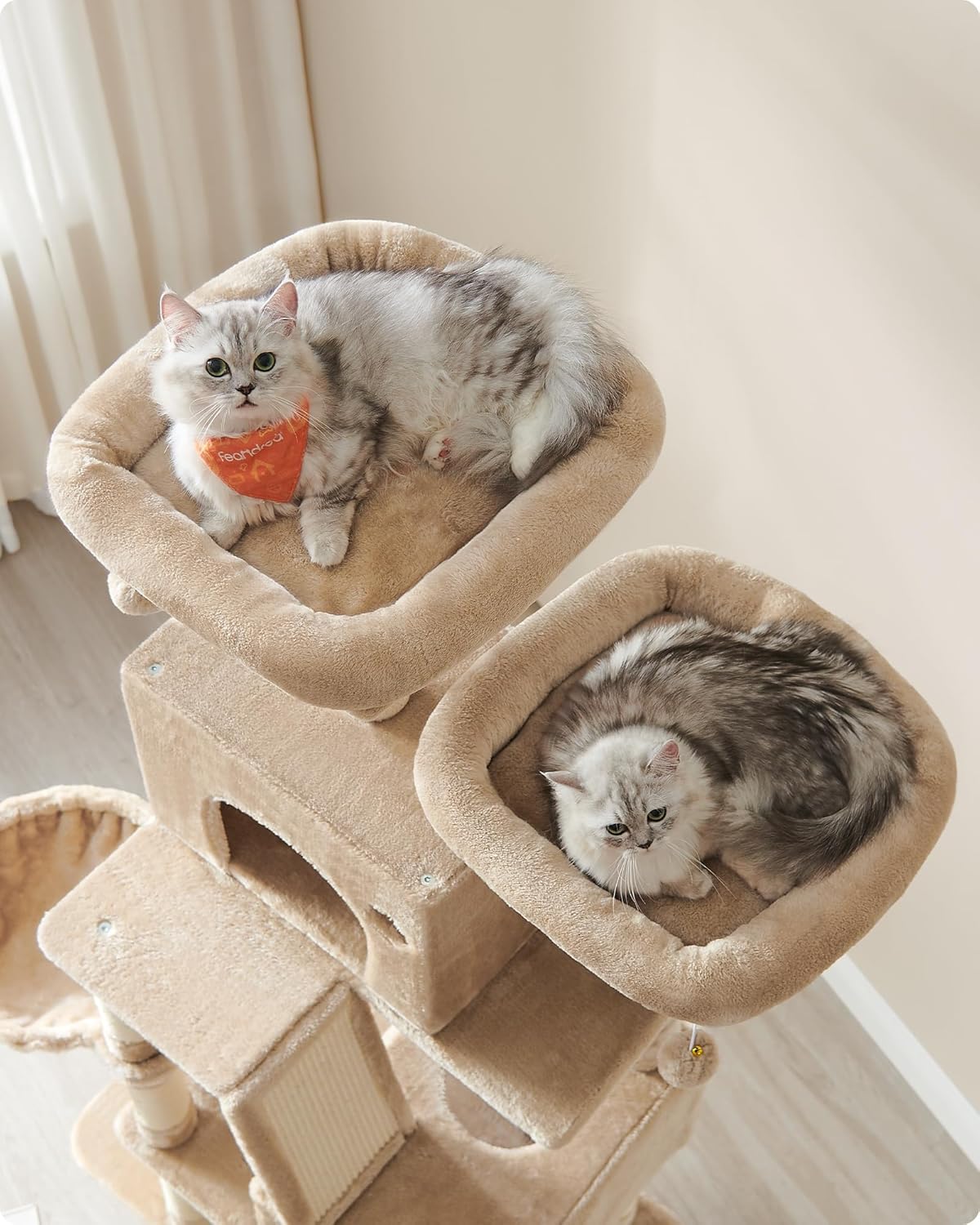 Feandrea - Mega XXL Krabpaal 206 cm – Multi-Level - DreamPawz