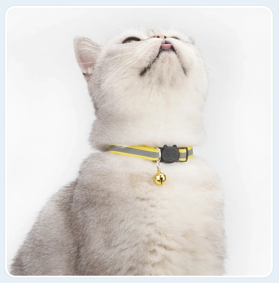 Reflecterende Kattenhalsband met Bel - DreamPawz