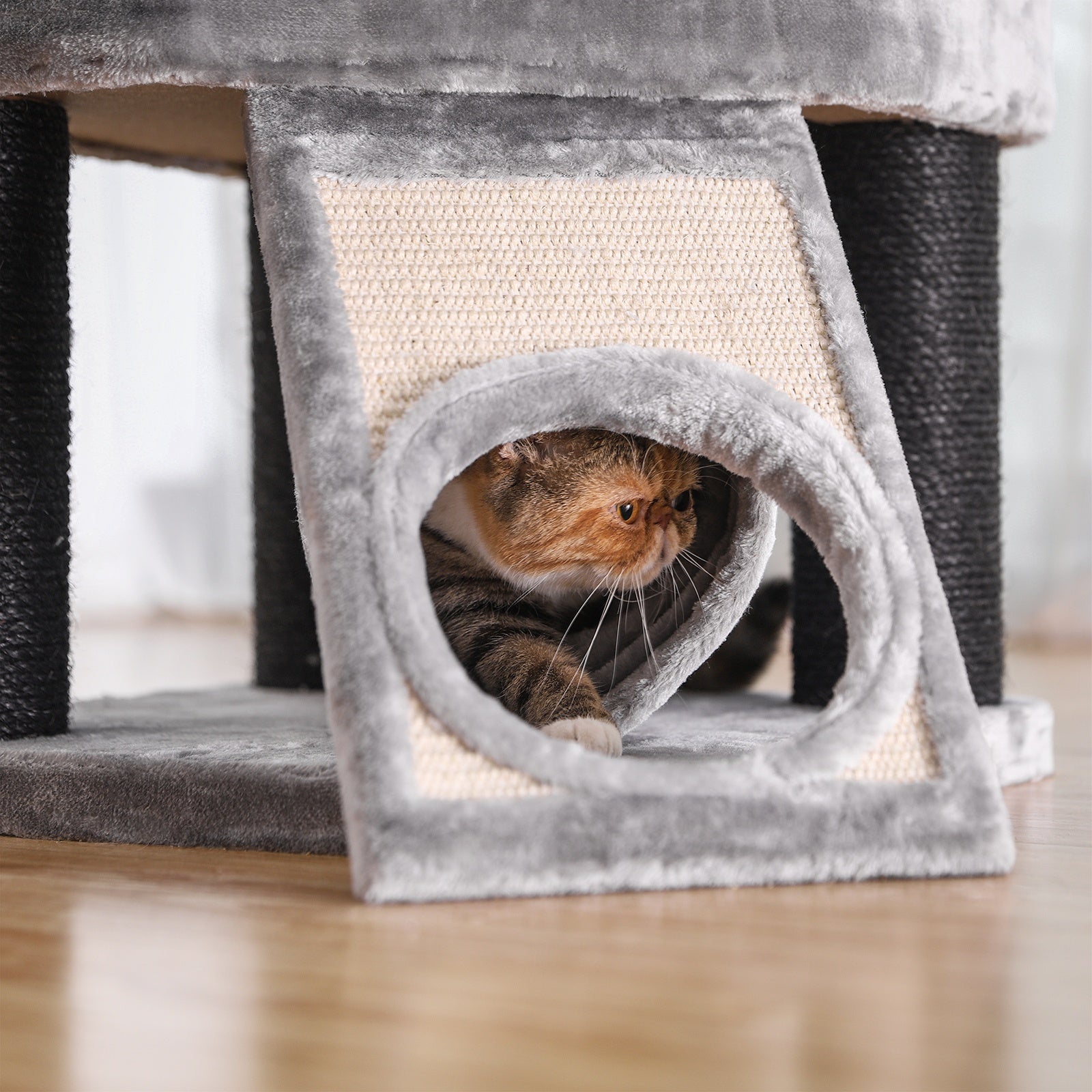 Feandrea - Grote Krabpaal met Hangmat & Kattenhuis - DreamPawz