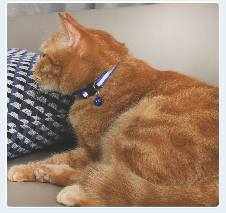 Reflecterende Kattenhalsband met Bel - DreamPawz