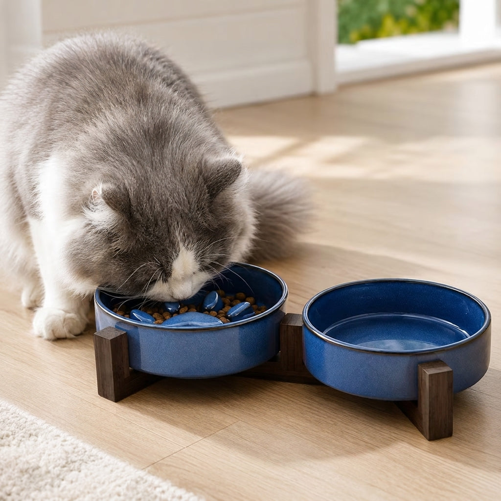 Pluizige kat eet uit een ergonomische keramische voederbak met anti-schrok poot en donker houten standaard