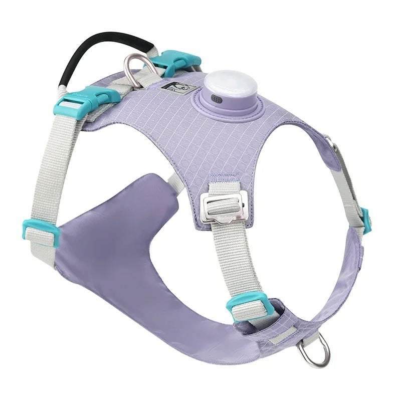 Truelove - Hondentuigje met LED Verlichting