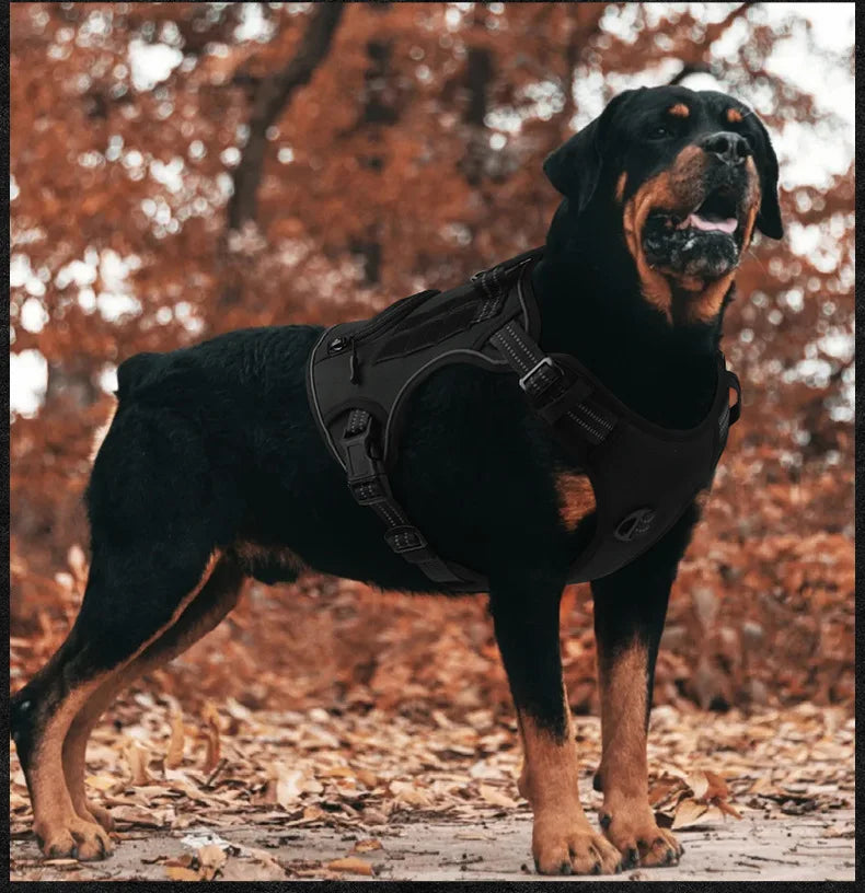 Zwart tactisch hondenharnas met reflecterende details en geïntegreerde poepzakjesdispenser op een modelhond