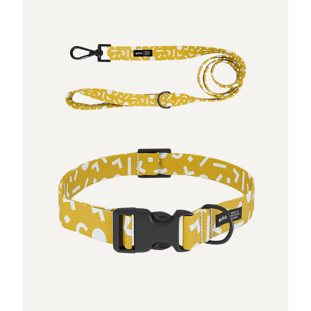 Gele hondenhalsband en riem