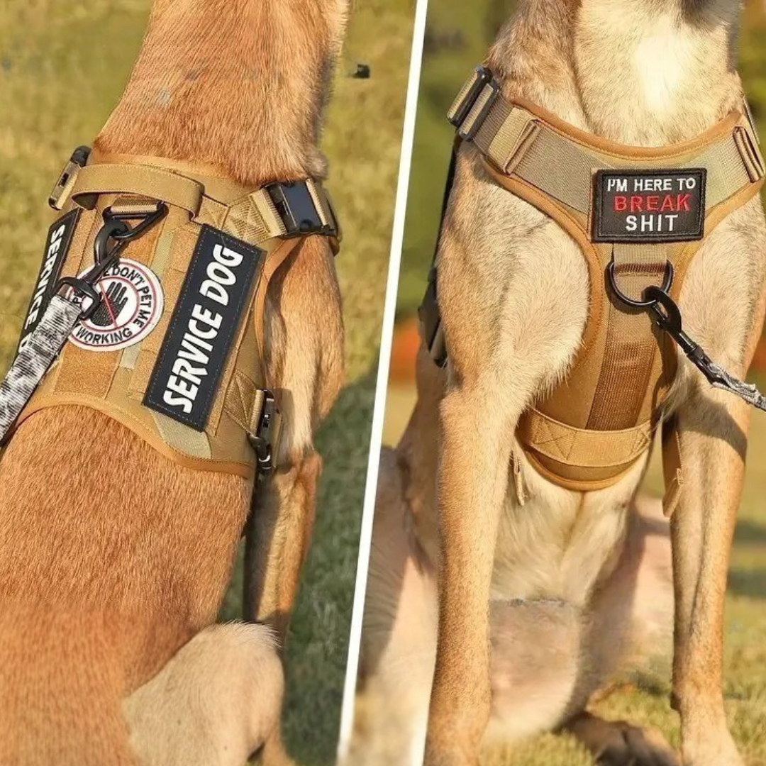 Tactical Hondenharnas inclusief 6 Patches
