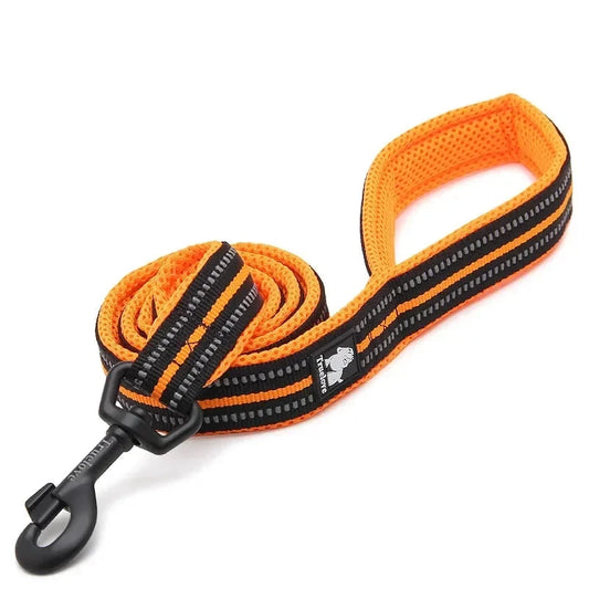 Reflecterende oranje hondenriem van Truelove