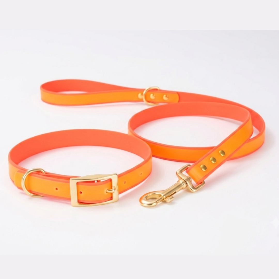 Luxe Waterdichte Hondenhalsband & Leiband Set – Glow in the Dark