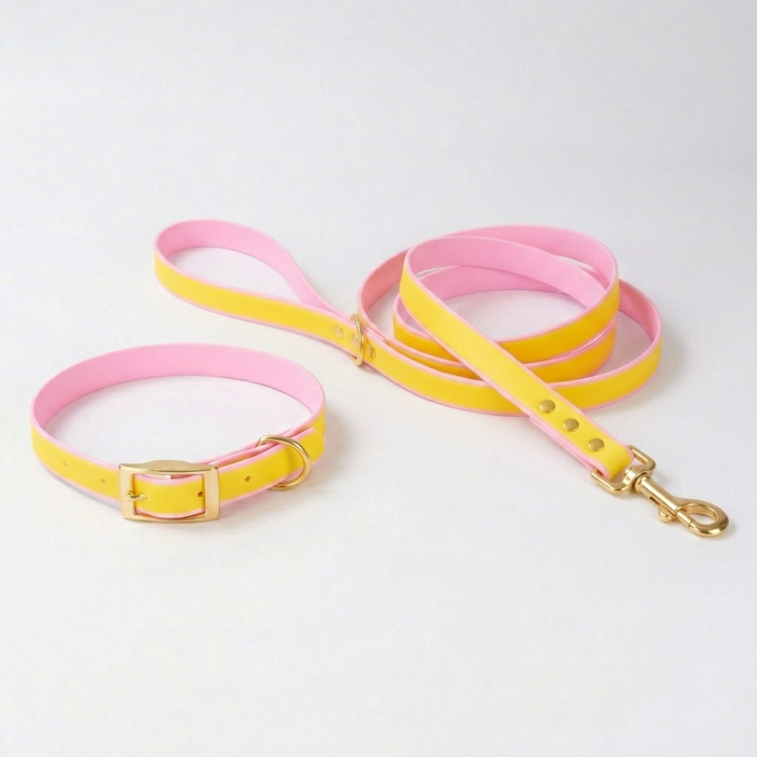 Luxe Waterdichte Hondenhalsband & Leiband Set – Glow in the Dark